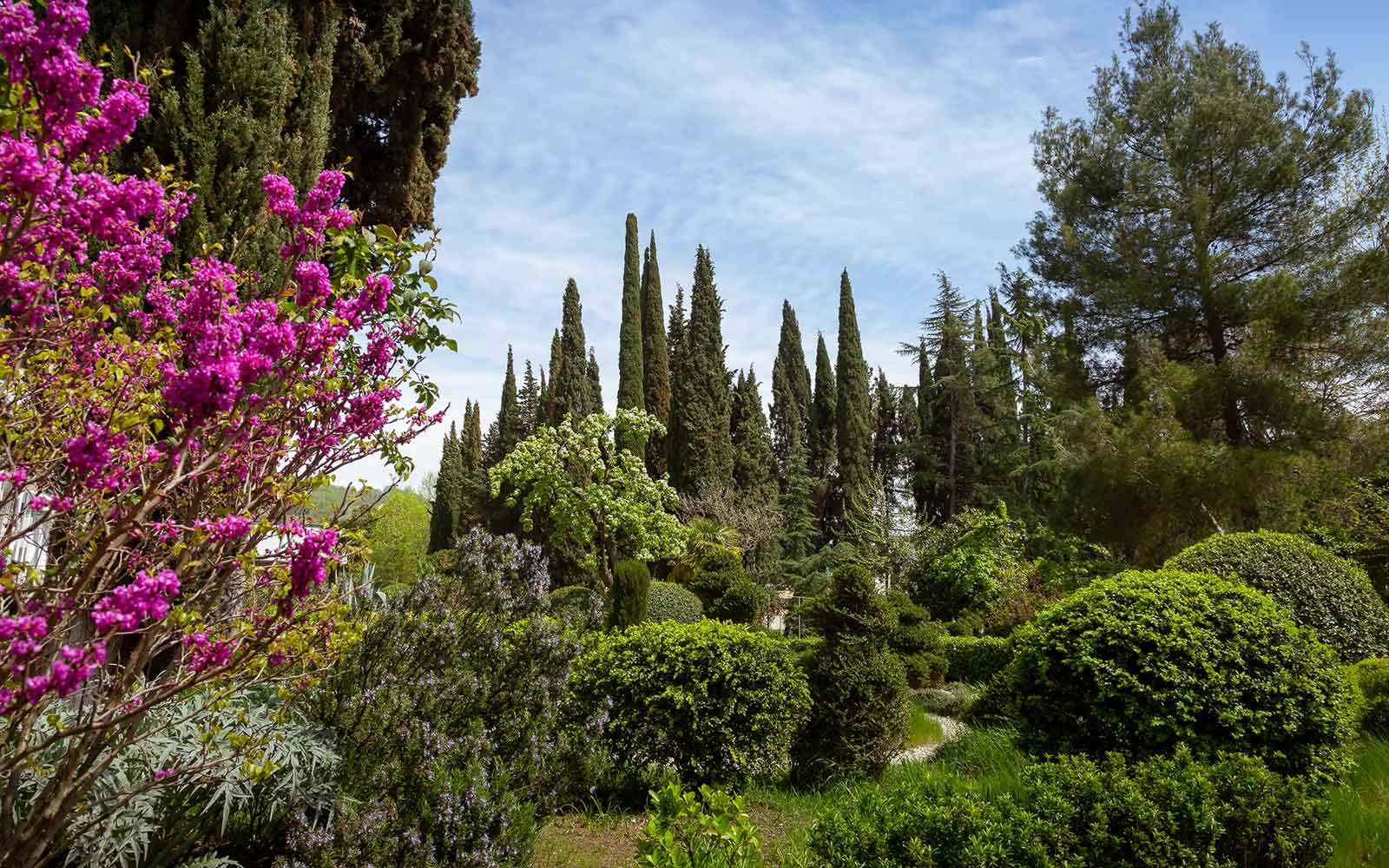 Гимнастика Цигун